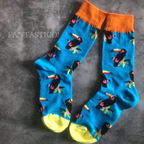 オオハシ柄メンズ靴下❤️スケーターソックス ポップアート グラフィック ギフトプレゼントお祝い 南国鳥トロピカルバード