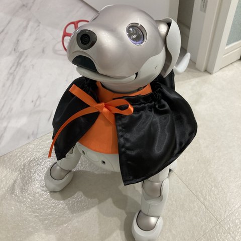 aiboちゃんのかぼちゃリボンのハロウィンマント　AI robot aibo's cape