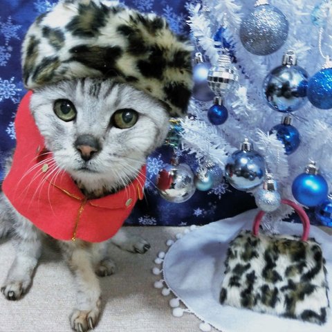 クリスマスの待ち合わせ♪猫のポストカード（2枚選択）