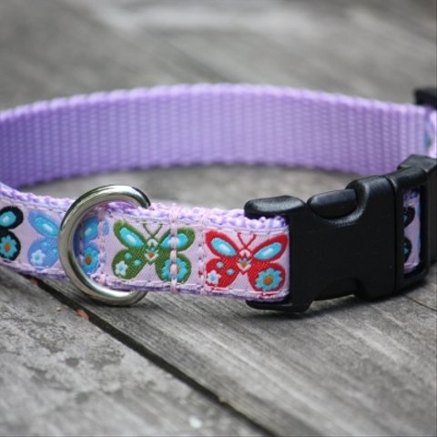 犬首輪 幅1.6㎝～1.9㎝ Butterfly Purple