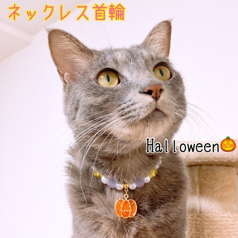 猫の首輪🐈ハロウィンカラー✨ネックレス首輪♡カボチャのチャーム🎃