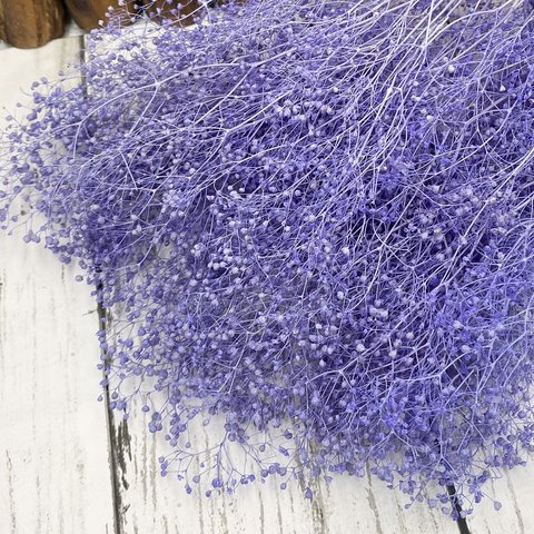 東北花材ソフトミニカスミ草パープリッシュブルー小分け❣️ハンドメイド花材プリザーブドフラワー