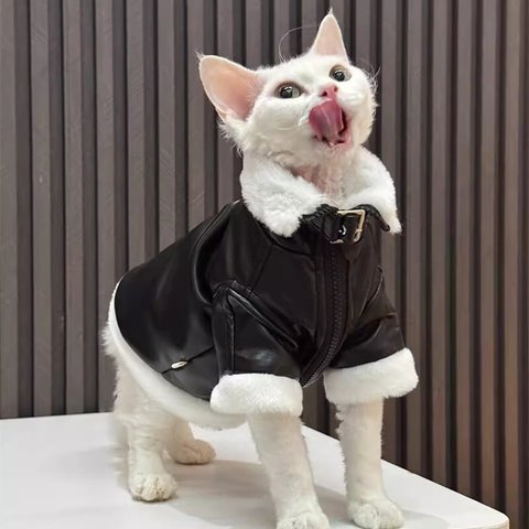 猫服 ペット服 ネコ 黒超厚手猫革ジャン 革ジャンコート 冬 防寒 猫革製コート スフィンクス猫 すごく暖かい 格好いい