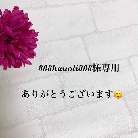 888hauoli888様専用