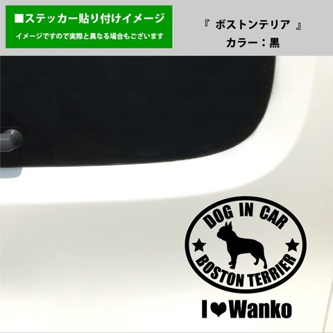 かわいい ボストンテリア 犬 ドッグインカー dog in car 車 ステッカー シール