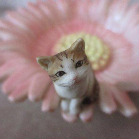 猫花香炉