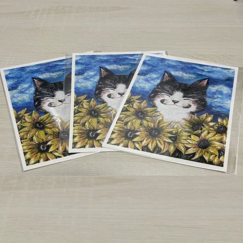 猫のポストカード３枚入りセット　No.５
