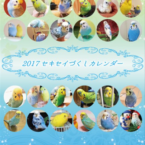 2017年 セキセイづくし 卓上カレンダー１冊　