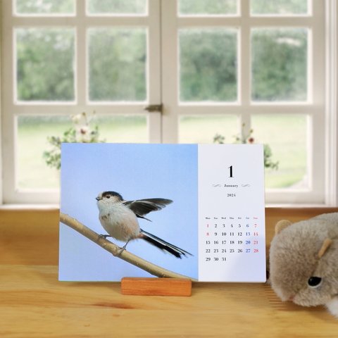 2024野鳥たちの卓上カレンダー（1-12月）