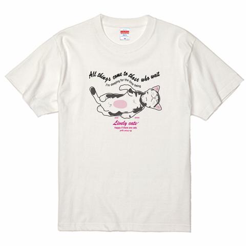 猫Ｔシャツ「果報は寝て待て」