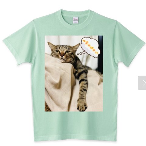 Tシャツ　つまんない表情　トラ猫