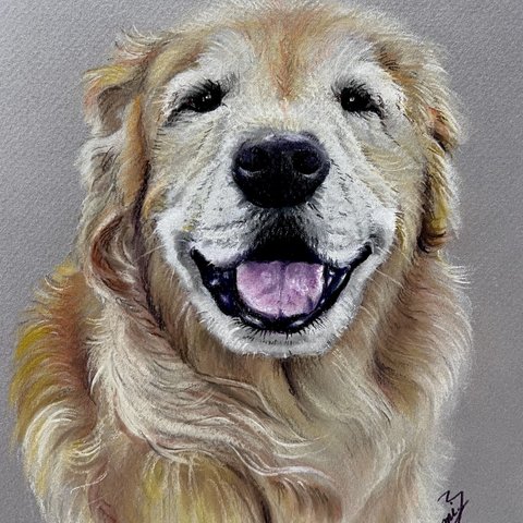 動物画　オーダーお受けします　色鉛筆画　パステル画　鉛筆画　ペット　似顔絵　犬　猫　