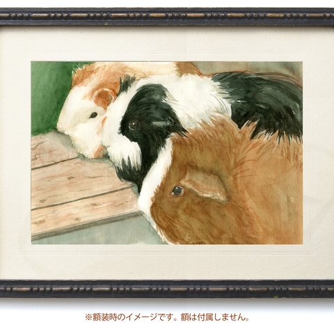 【原画】見つめるモルモット（水彩画/額無し）★送料無料 動物 絵画インテリア プレゼントに