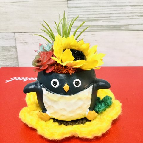 ひまわり🌻多肉🍀ペンギンポット🐧