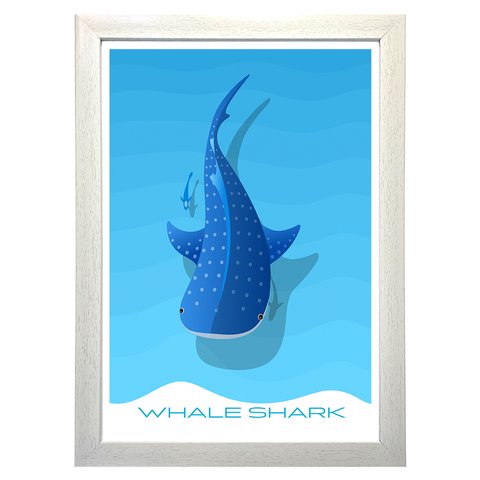 イラスト　海のポスター（ジンベイザメ）