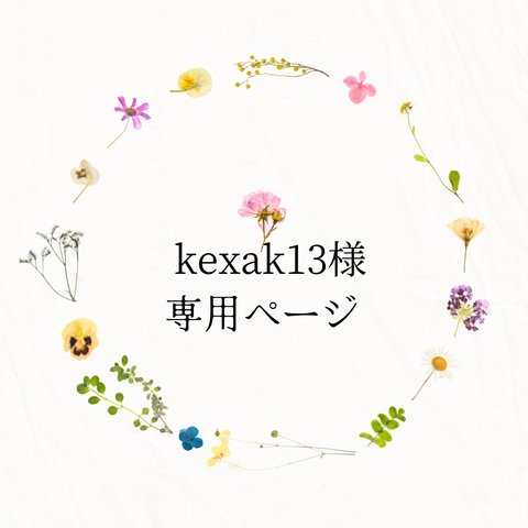 kexak13様専用ページ