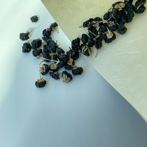 黒枸杞 15g