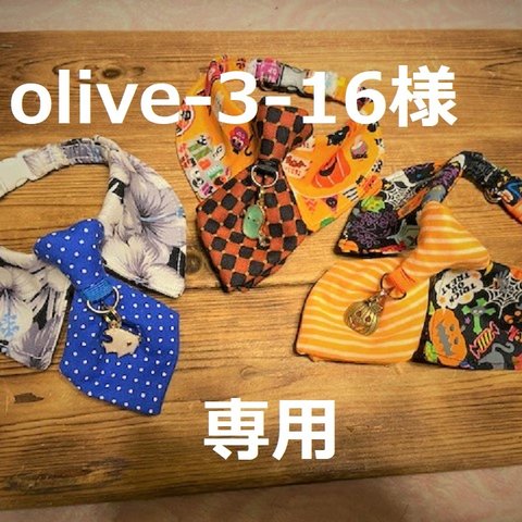 olive-3-16様　専用　cocoちゃんネクタイチョーカーNEO　3点　ハロウィン・お化け・アロハ・ハイビスカス