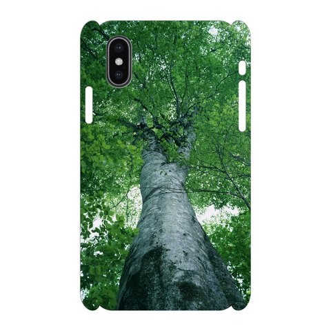 硬質iPhoneケース 森林 KA-sinr012
