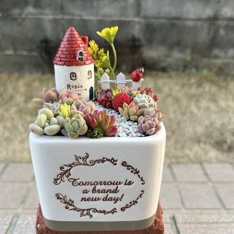 ★送料無料★♡そのまま飾れる♡陶器鉢♬ヨーロピアンガーデンの箱庭風♡可愛い多肉植物寄せ植え╰(*´︶`*)╯♡