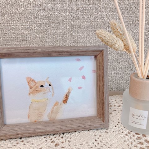 水彩画　ねこと桜