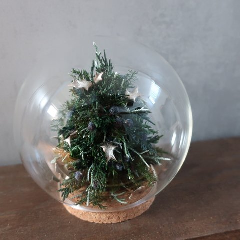 ガラスの中のクリスマスツリー☆