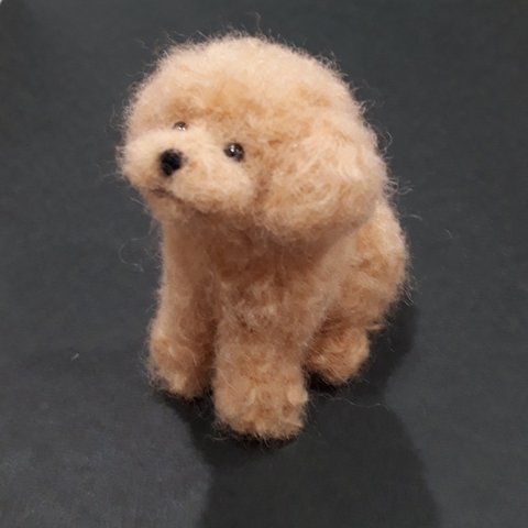 羊毛フェルトの犬　トイプードル（アプリコット）