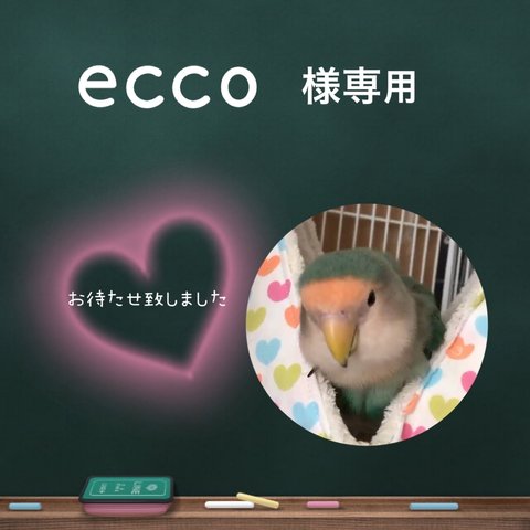 ecco様オーダー【Ｓｻｲｽﾞ】3点