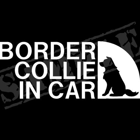 BORDER COLLIE IN CAR（ボーダーコリー・座り姿バージョン） パロディステッカー / 7cm×17cm