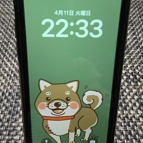 スマホ壁紙【柴犬】iPhone X以降のサイズ