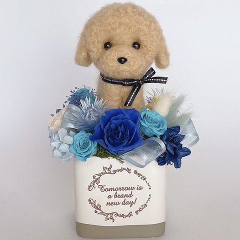 トイプードル（アプリコット）のプリザーブドフラワーアレンジメント　ブルー　犬　母の日　花　お祝い　プレゼント　ギフト　おしゃれ　かわいい　