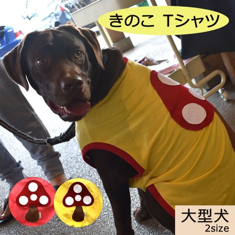 きのこTシャツ（大型犬用）★わにぽ★