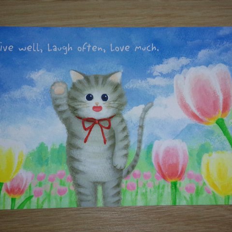 チューリップと猫　イラストポストカード【2枚組】