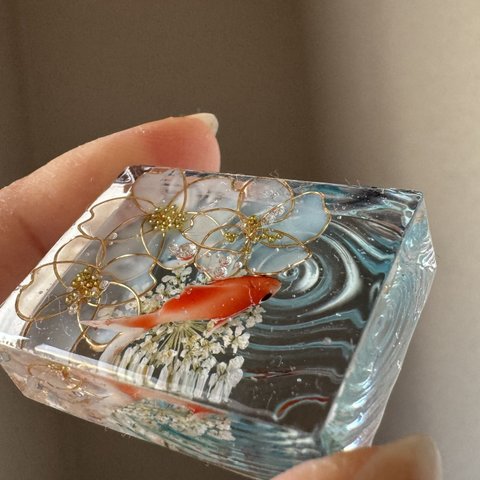 【2/18 21時～販売】波紋の金魚～桜ブルー(お写真のものをお届けします)