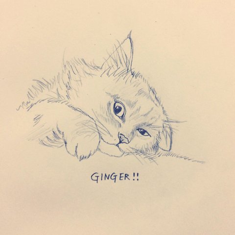 ねこちゃんのにがおえ 