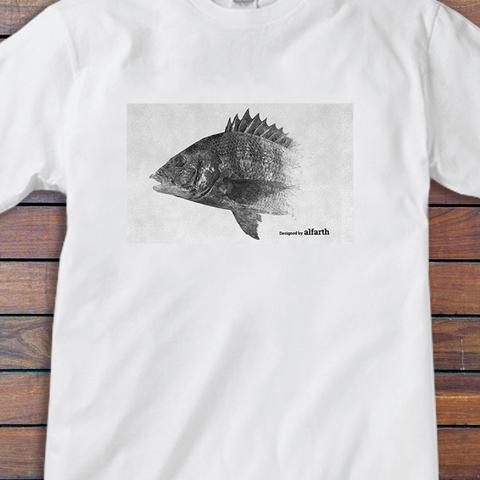 tシャツ　メンズ