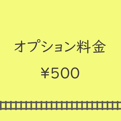 オプション料金￥500