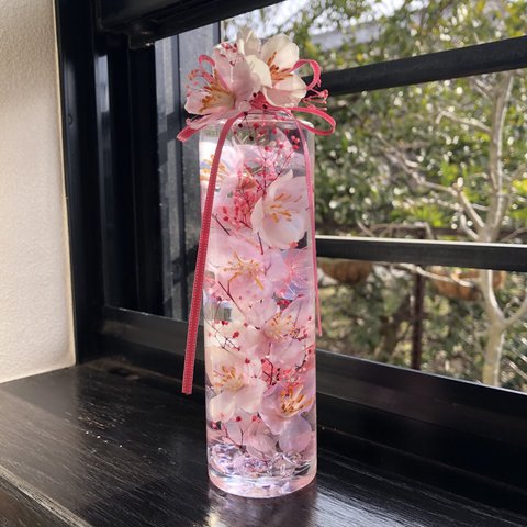 桜ハーバリウム  円柱瓶　Mサイズ