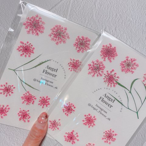  【送料無料】染めレースフラワー　ネイル用押し花　ピンク