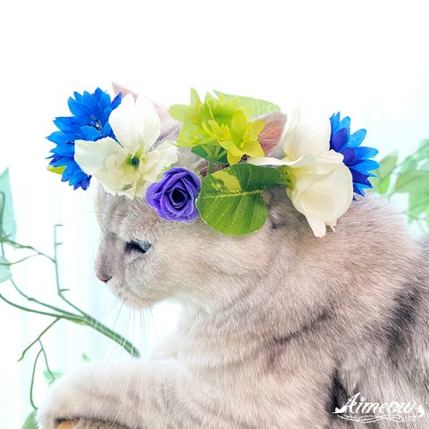 ペットねこ、犬花冠花かんむり被り物フラワークラウン