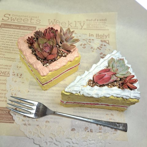 ケーキ鉢の多肉寄せ植え2鉢セット