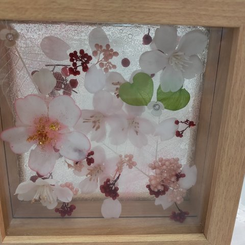 【お家でお花見】桜フレーム🌸