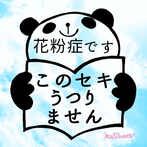 花粉症も安心☆ マスクにポンっ！ 送料無料 大人も子供も使えるスタンプ♪ マスク専用 本を読むパンダ エチケット スタンプ   はんこ 花粉症 ぜんそく 喘息マーク アレルギー パンダ　マスクデコ