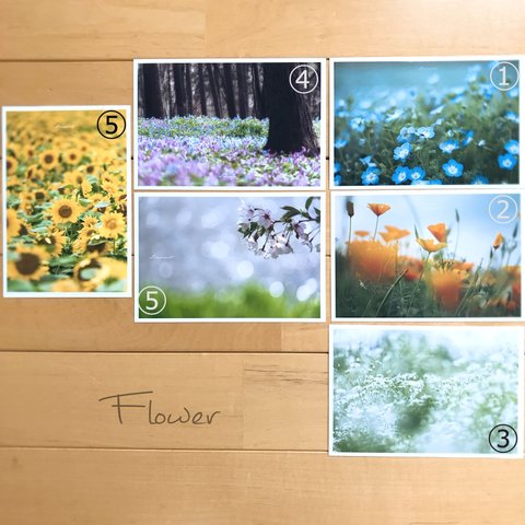 【ポストカード】花☆flower
