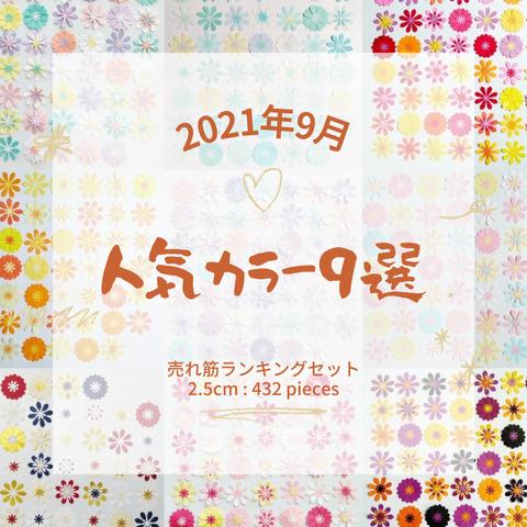 ☆送料無料☆クラフトパンチ　アルバム　誕生日　七五三　壁面　飾り　スクラップブッキング　花　ウェディング　保育　ペーパークラフト　パーツ　寄せ書き　結婚式　フラワー　クリスマス