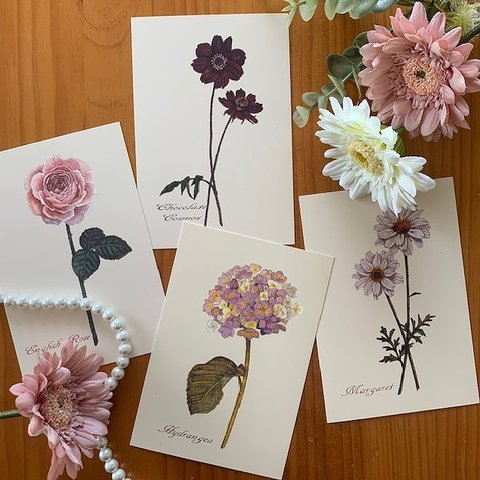 ポストカード【Favorite Flowers 4枚セット】封筒付 