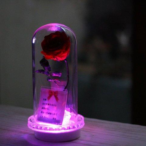 LEDライトメッセージ入り美女と野獣のボトルフラワー　