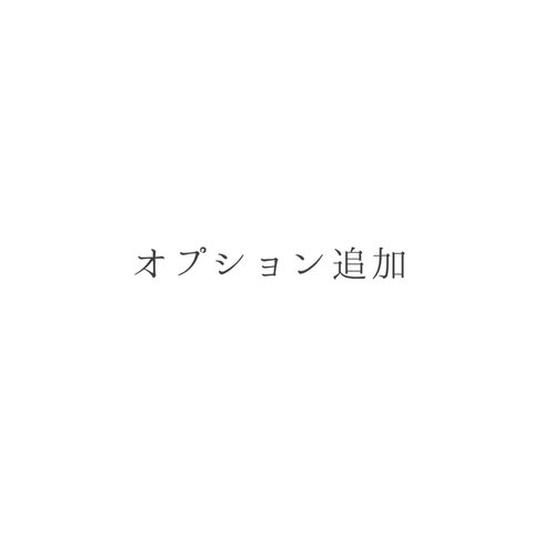 オプション追加料金