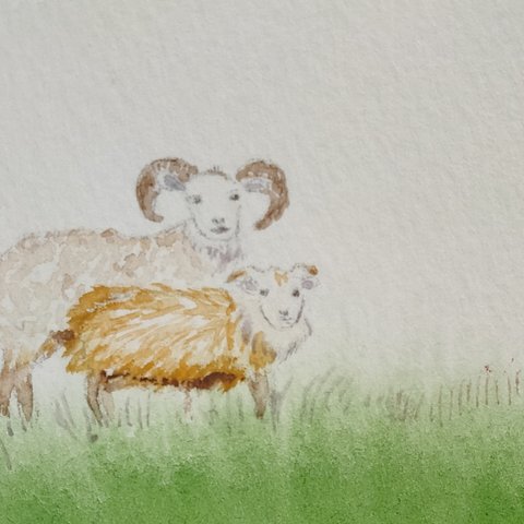 [ ミニ絵画 ] 羊に会いに: 仲良し夫婦のトビーとリリー