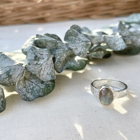 Labradorite Silver Ring《silver925》